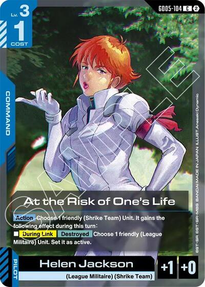 At the Risk of One's Life - Freedom Ascension Gundam spoiler